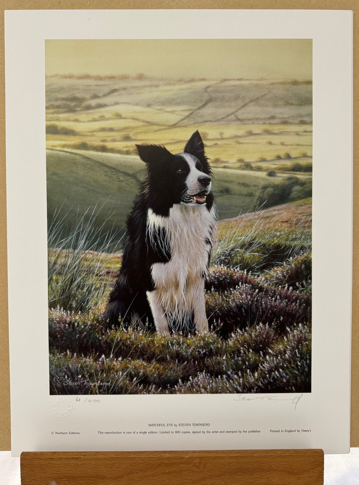 watchful eye print by artist steven townsend