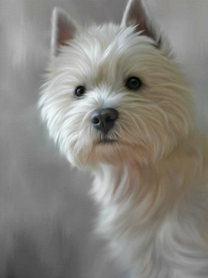 West Highland Terrier (40th Anniversary Image)