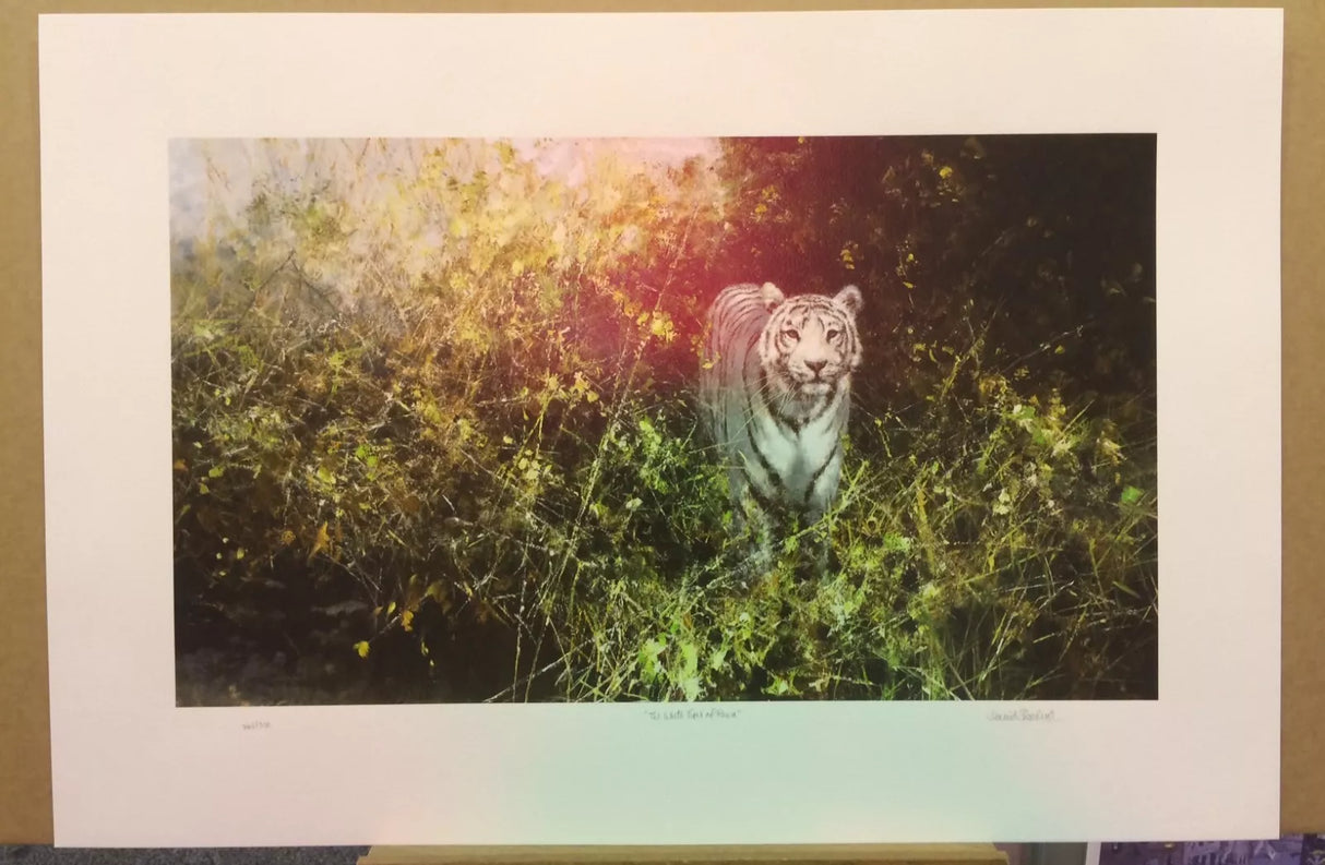 The White Tiger of Rewa Silkscreen - Dec 2001