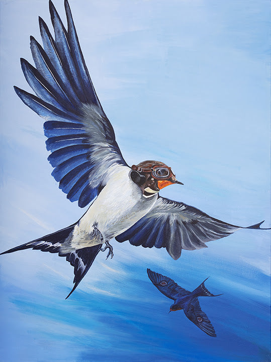 wing commander mounted print by artist angus gardner