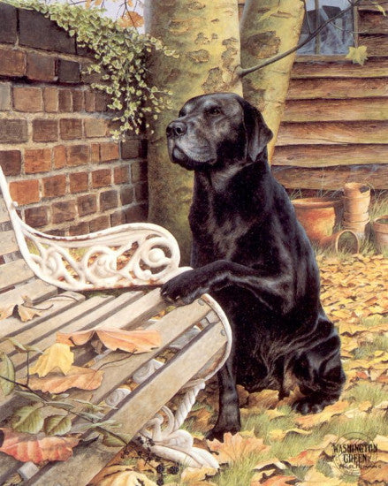 Wish You Were Here & USA Delivery