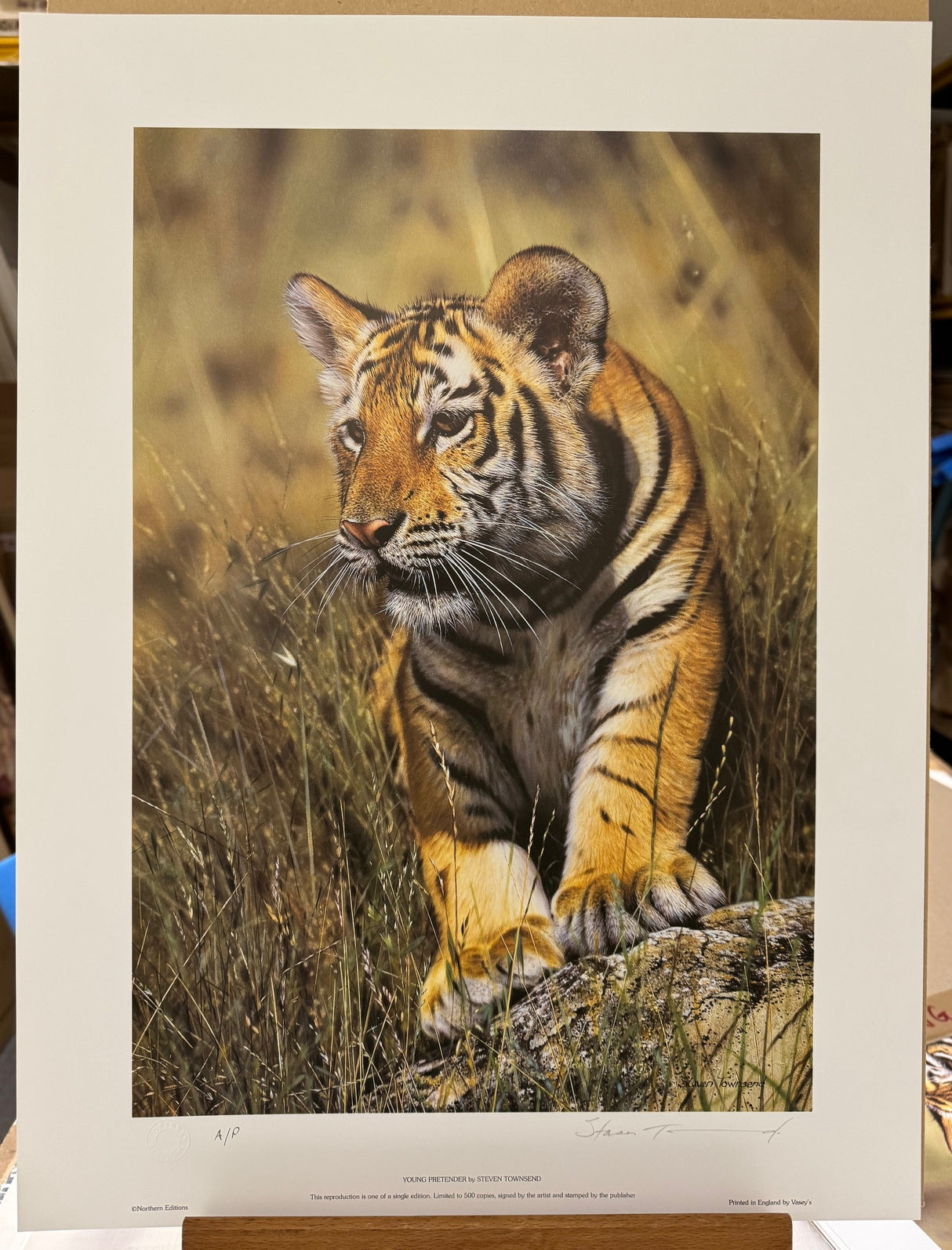 young pretender artist proof print only by artist steven townsend