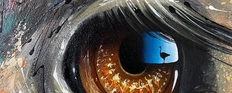 Joe Galindo's Eyes Hold Tiny Animal Silhouettes