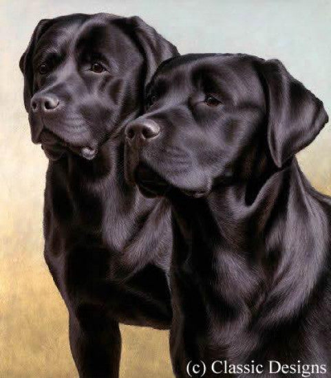 Two Of A Kind