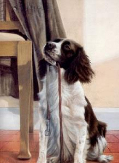 Anticipation