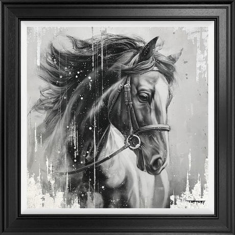 black knight framed print by artist ben jeffery
