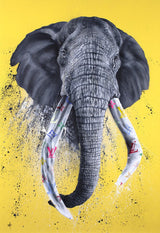 Designer Tusks