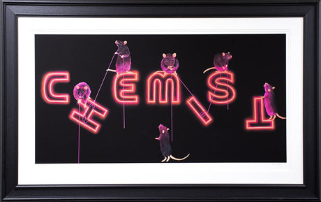 Rats Fixing Chemist