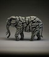 Elephant White