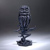 MIdnight Owl