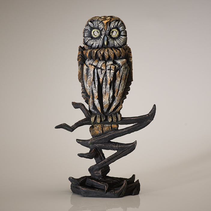 Tawny Owl