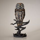 Tawny Owl