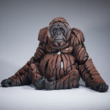 Orangutan