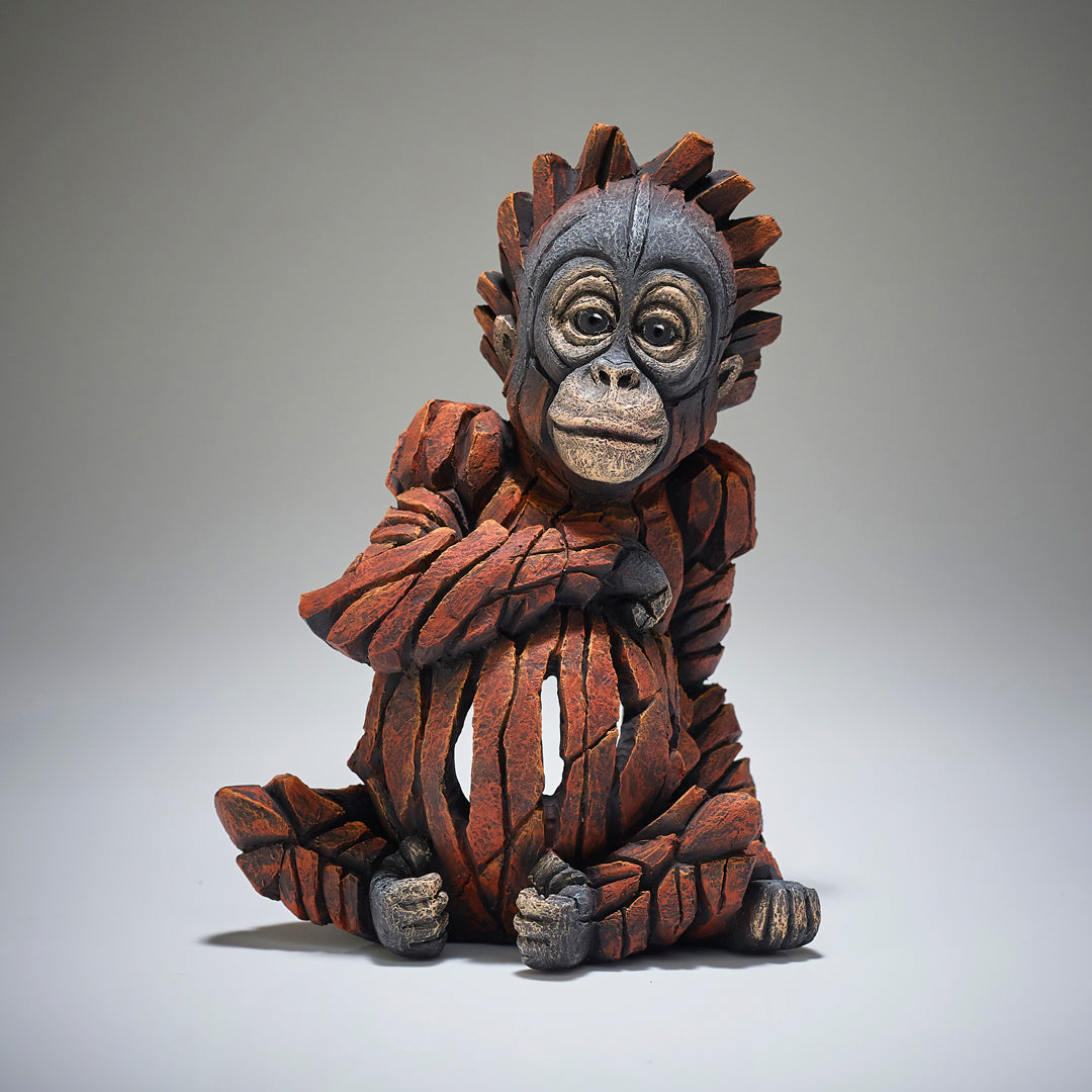 Baby Orangutan