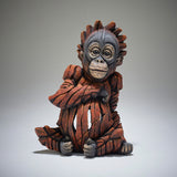 Baby Orangutan