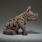 White Rhinoceros Calf