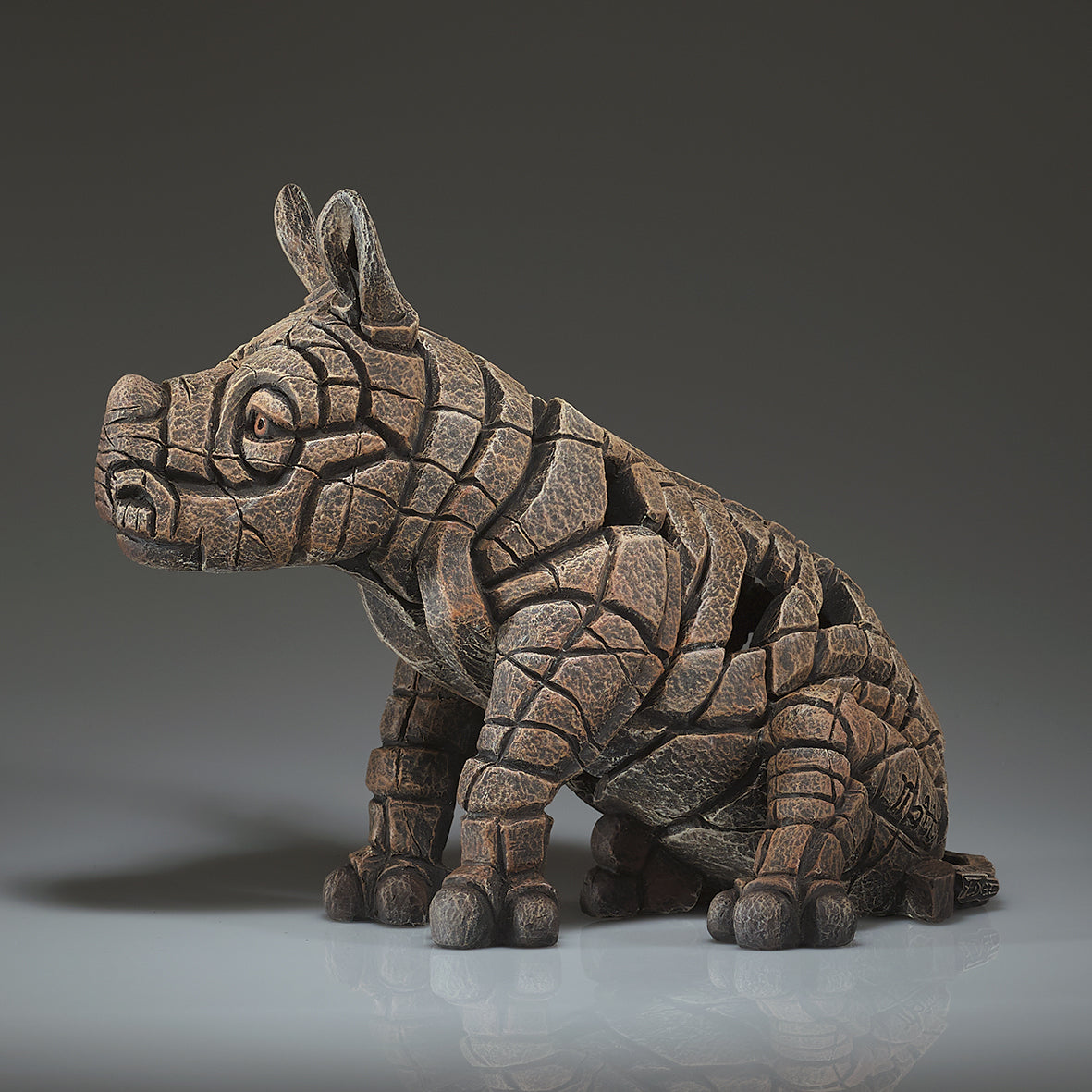White Rhinoceros Calf