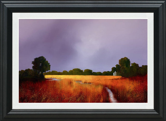 Enduring Light Framed Print by Artist Barry Hilton 