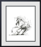 freedom framed print by artist scott tetlow