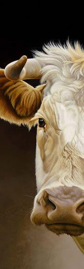 Goldie a Glance