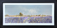 the gentle breeze original framed by artist john Horsewell