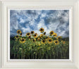 the tall ones framed original by artist kimberley harris