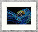 malachi framed print by artist sarah jackson