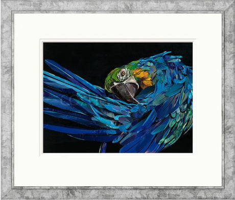 malachi framed print by artist sarah jackson