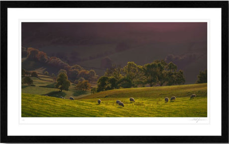 October Afternoon