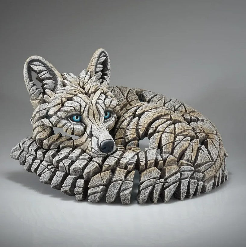 Curled Up Arctic Fox