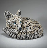 Curled Up Arctic Fox
