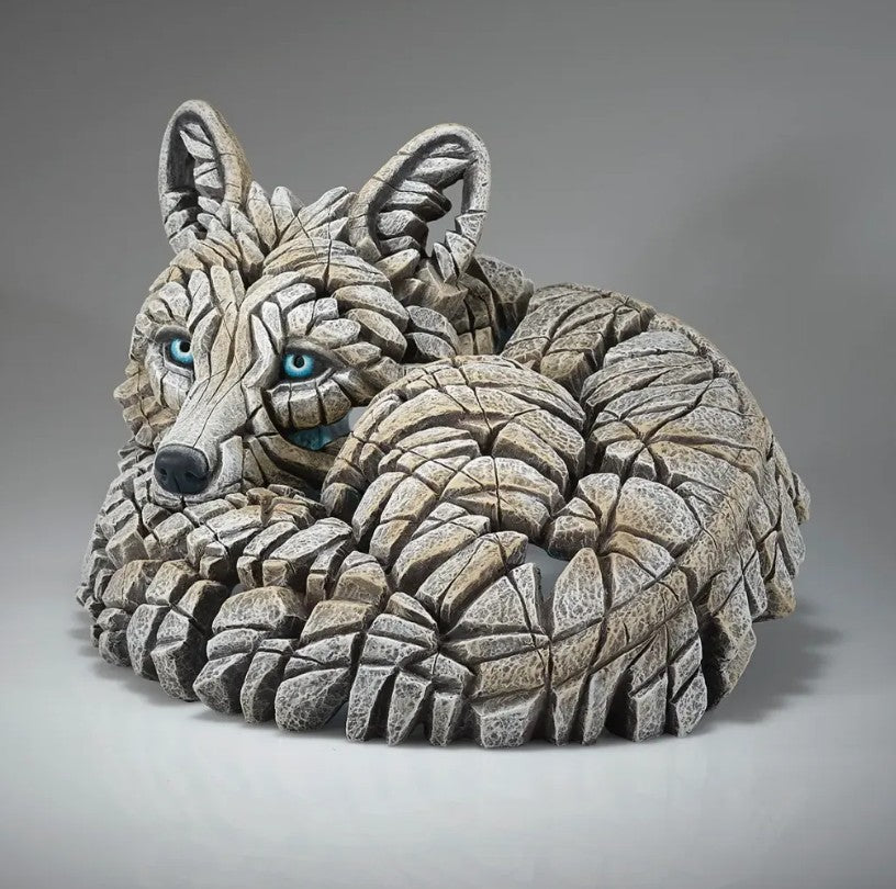 Curled Up Arctic Fox