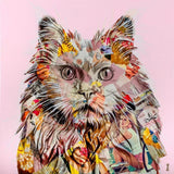 Pampurred