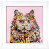 Pampurred