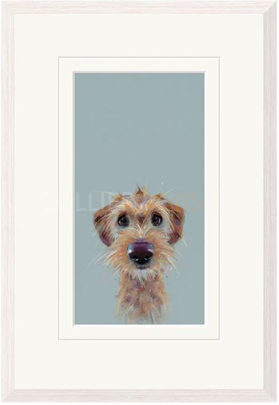 scruff framed print by artist nicky litchfield