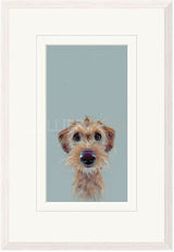 scruff framed print by artist nicky litchfield