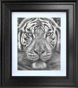 The Silent Warrior study framed print by artist martin robson
