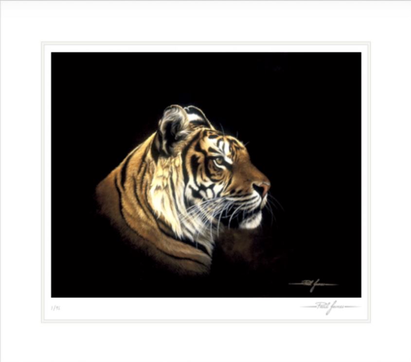 Tiger in Profile