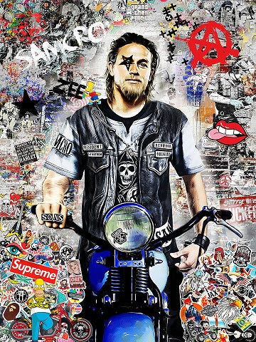 anarchy mounted print by artist zee