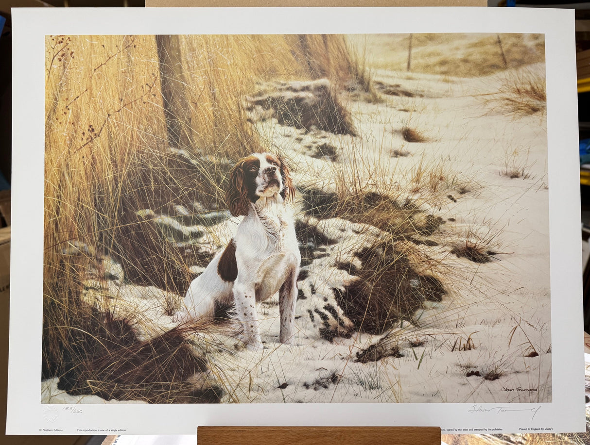 anticipation print by steven townsend