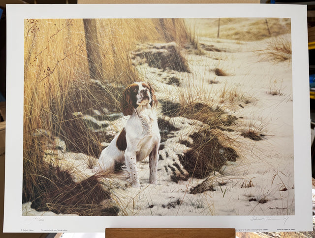 anticipation print by steven townsend