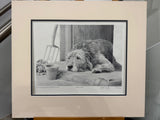 at spinney cottage mounted print by artist mike sibley