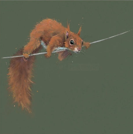 balancing act mounted print by artist nicky litchfield