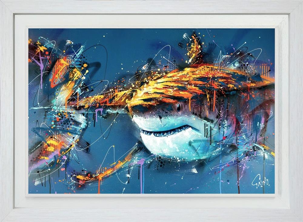 barry framed print by artist joe galindo