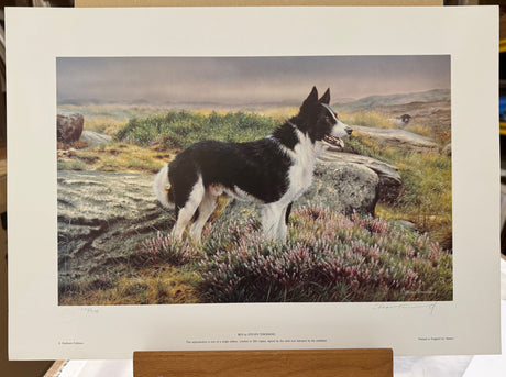 ben print by artist steven townsend