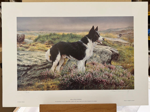 ben print by artist steven townsend