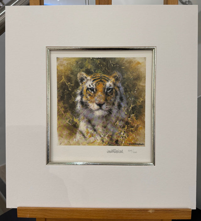 bengal tiger the cameo collection wildlife of the world collection by artist david shepherd