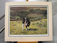 bens valley mounted print by steven townsend