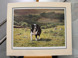 bens valley mounted print by steven townsend