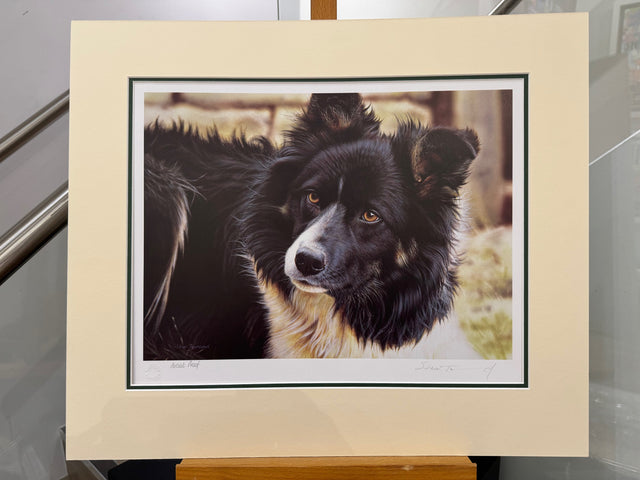 bill artist proof mounted print by artist steven townsend